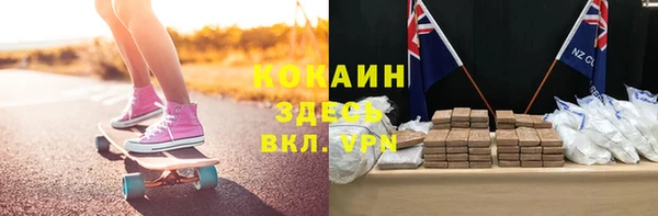твердый Алексин