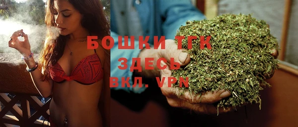 твердый Алексин